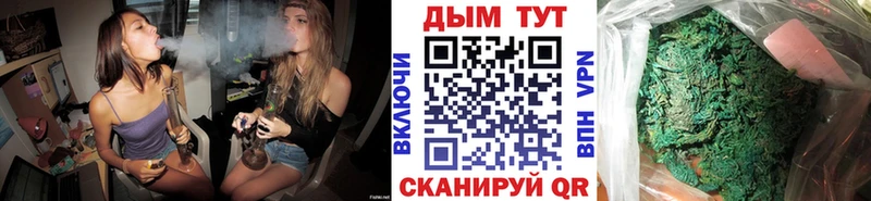 Купить закладки Трубчевск Бошки Шишки конопля